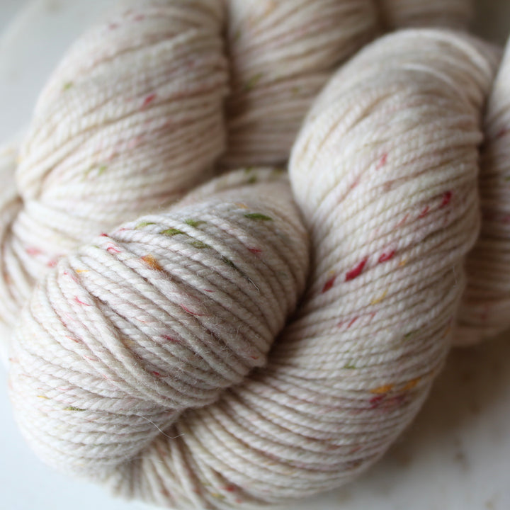 SUSTAIN - Confetti Worsted - Shaniko Merino Wool Worsted Weight Yarn