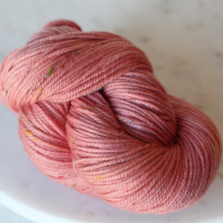 SUSTAIN - Confetti Worsted - Shaniko Merino Wool Worsted Weight Yarn