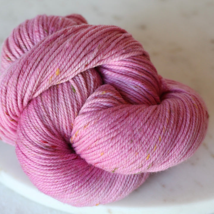 SUSTAIN - Confetti Worsted - Shaniko Merino Wool Worsted Weight Yarn