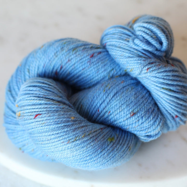 SUSTAIN - Confetti Worsted - Shaniko Merino Wool Worsted Weight Yarn