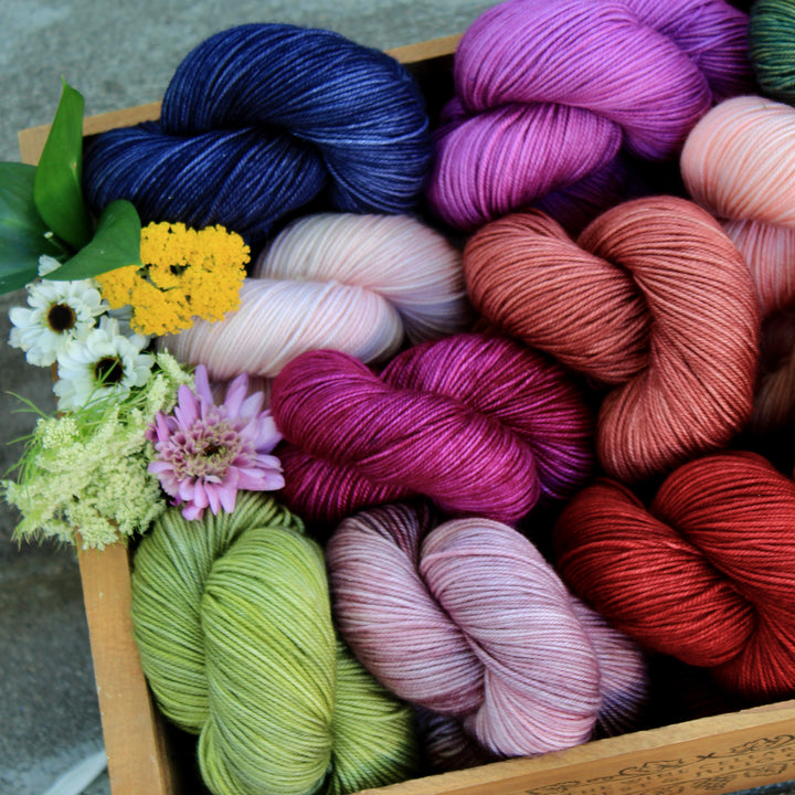 Springy Sport Collection (Ready To Ship)